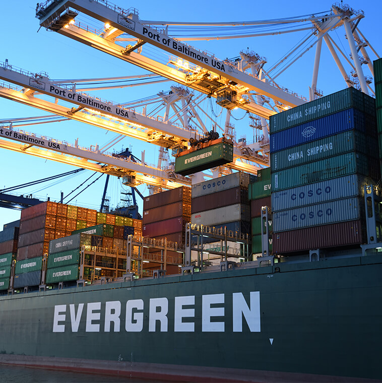 Logistic Trucking Services – 2018